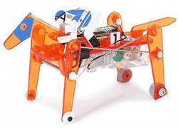 Pictue of Tamiya Race Horse